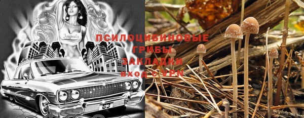 ПСИЛОЦИБИНОВЫЕ ГРИБЫ Алексин