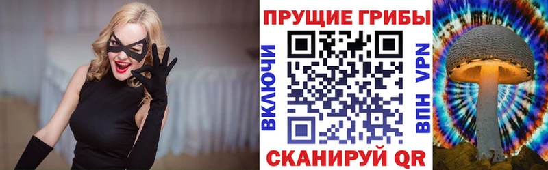 Псилоцибиновые грибы мухоморы  купить закладку  Алзамай 