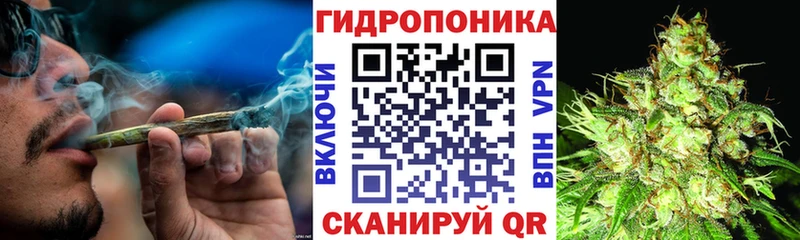 Канабис планчик  Алзамай 